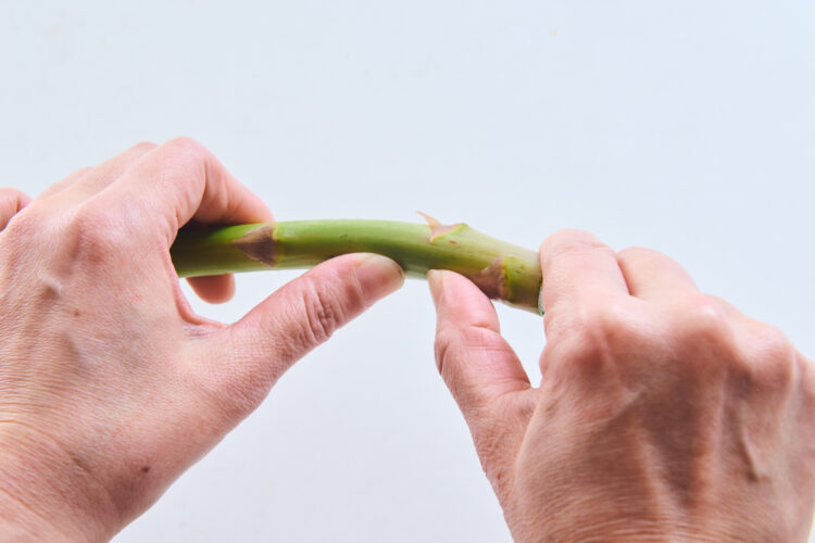 アスパラを曲げて折る